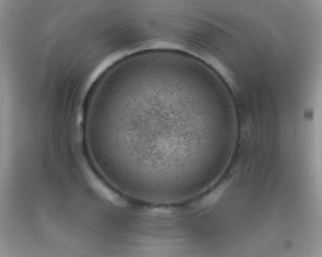 X0000092291126200709141254