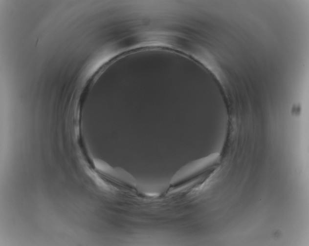 X0000092291127200709141254