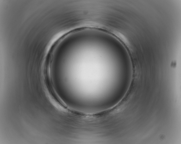 X0000092291128200709141254