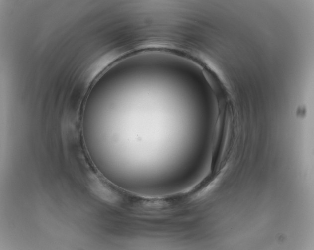 X0000092291129200709141254