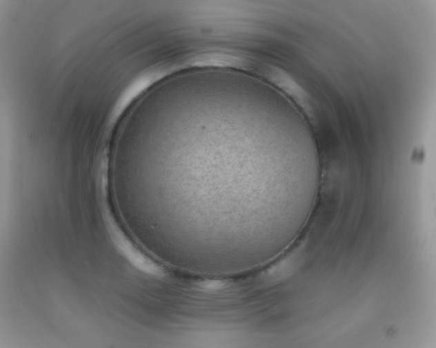 X0000092291130200709141254
