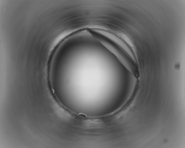X0000092291133200709141254