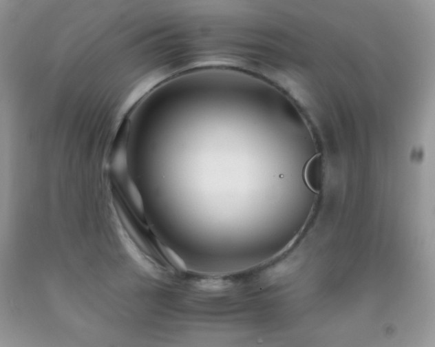 X0000092291137200709141254