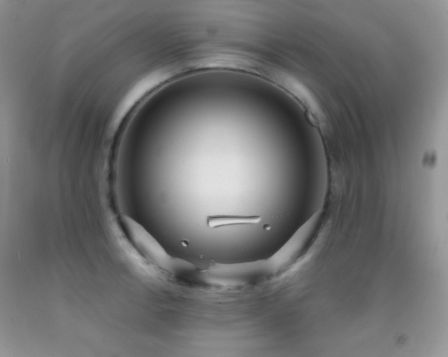X0000092291138200709141254