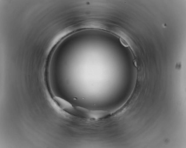 X0000092291139200709141254