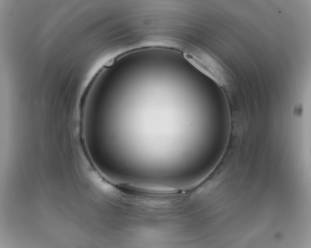X0000092291140200709141254