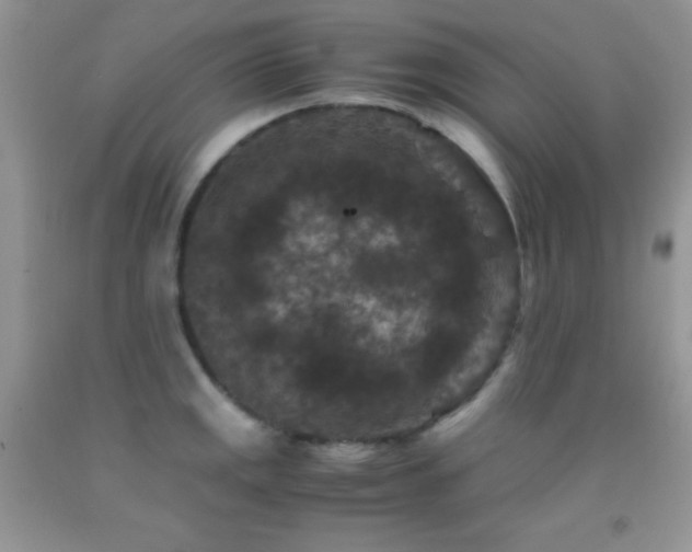 X0000092291141200709141254