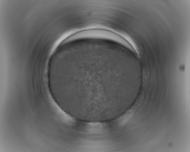 X0000092291142200709141254