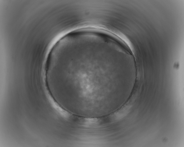 X0000092291144200709141254