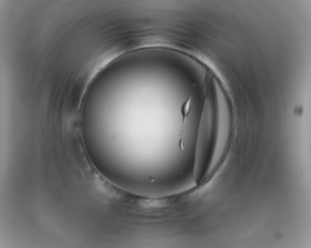 X0000092291145200709141254