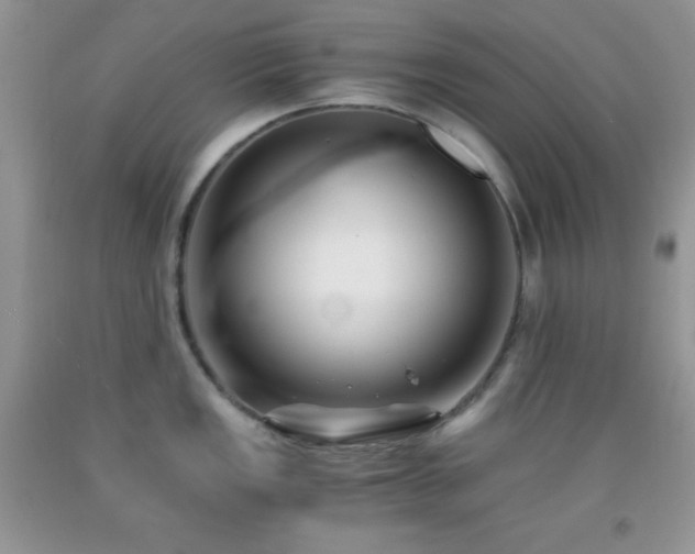 X0000092291149200709141254