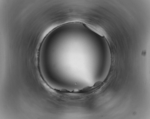 X0000092291151200709141254