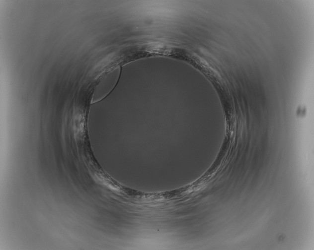 X0000092291154200709141254