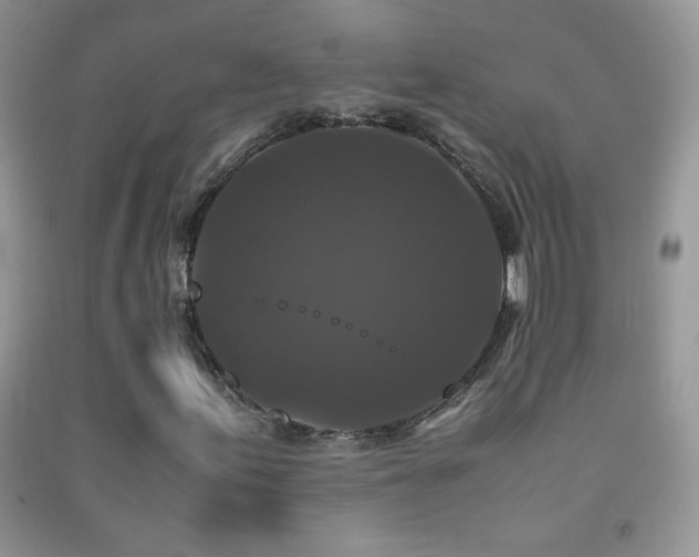 X0000092291155200709141254