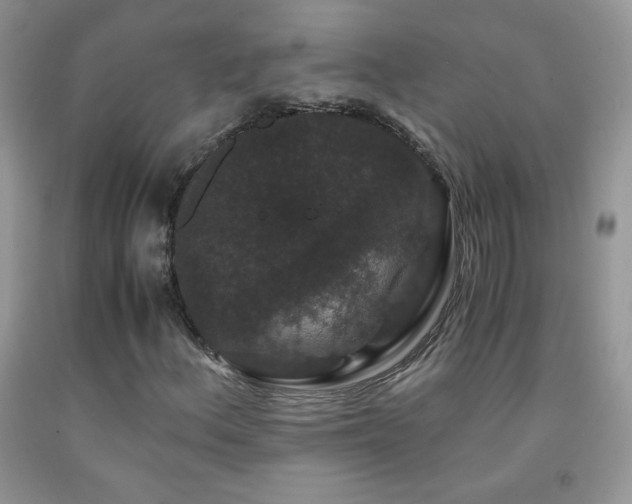 X0000092291156200709141254