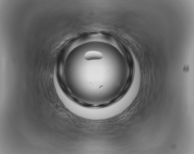 X0000092291157200709141254