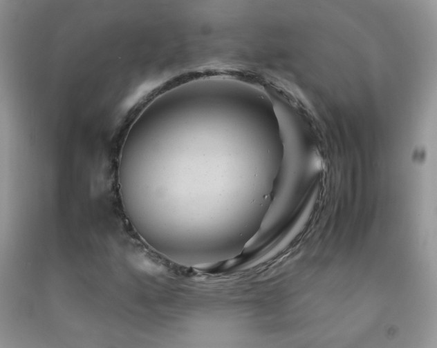 X0000092291160200709141254