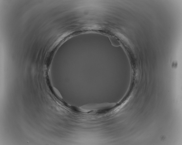 X0000092291161200709141254
