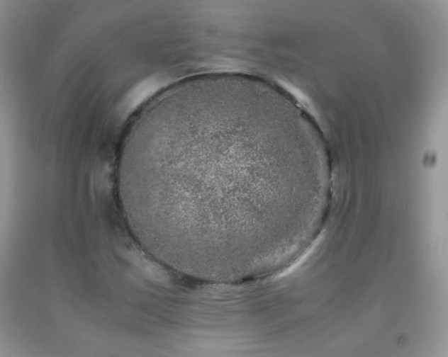 X0000092291163200709141254