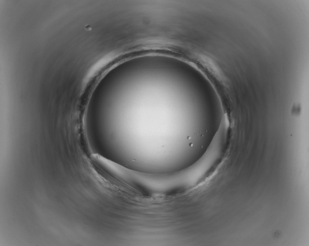 X0000092291164200709141254