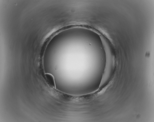 X0000092291165200709141254