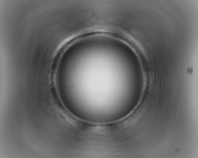 X0000092291166200709141254