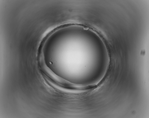 X0000092291168200709141254
