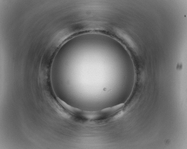 X0000092291169200709141254