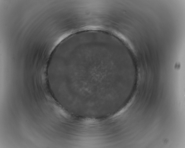 X0000092291170200709141254