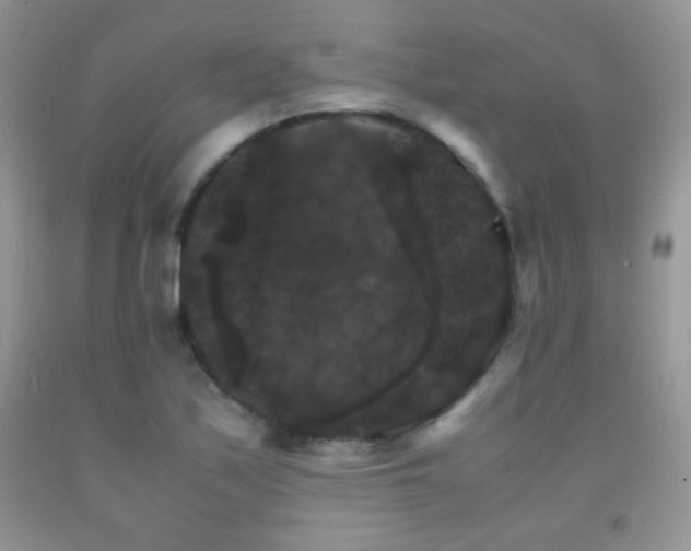 X0000092291171200709141253