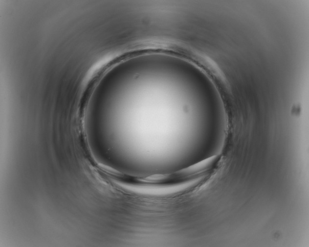 X0000092291172200709141253