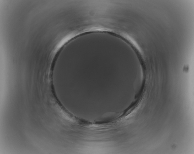 X0000092291173200709141253