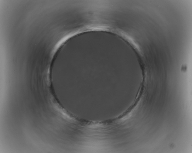 X0000092291174200709141253