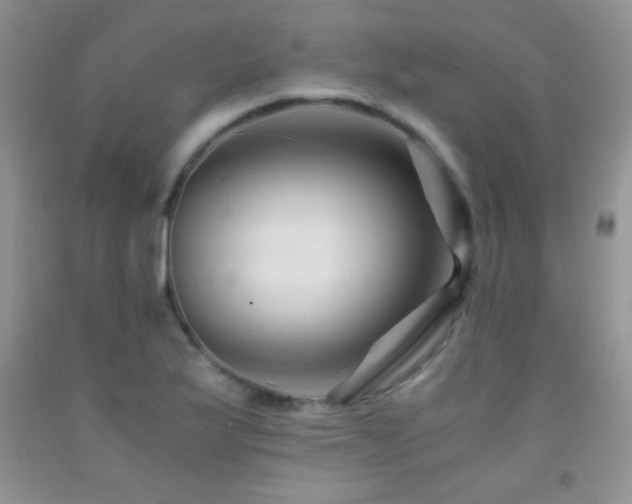 X0000092291175200709141253