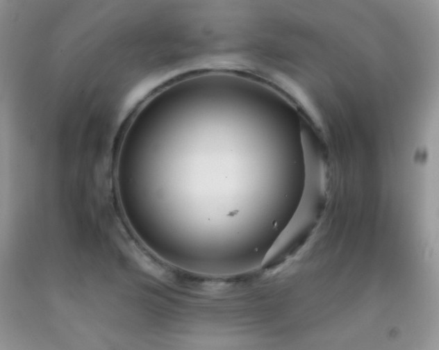 X0000092291176200709141253