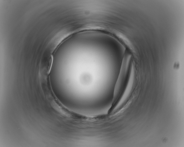 X0000092291177200709141253