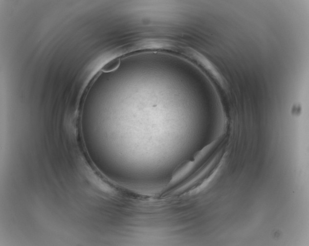X0000092291178200709141253