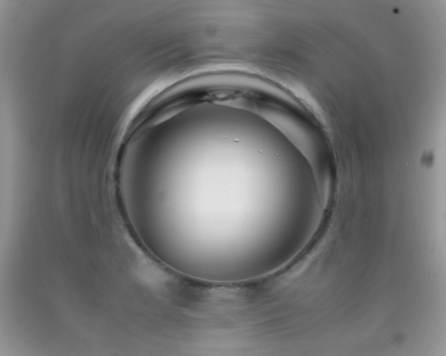 X0000092291181200709141253