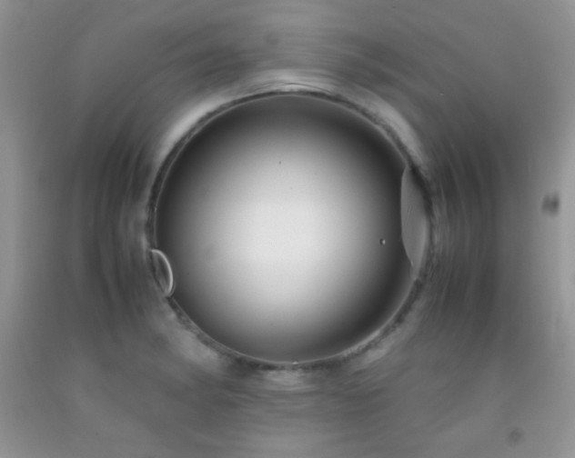 X0000092291182200709141253