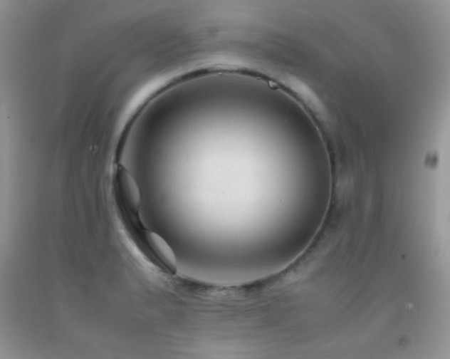 X0000092291183200709141253