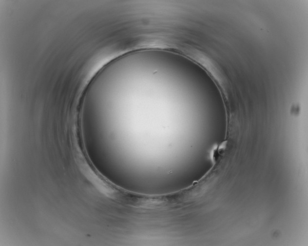 X0000092291187200709141253
