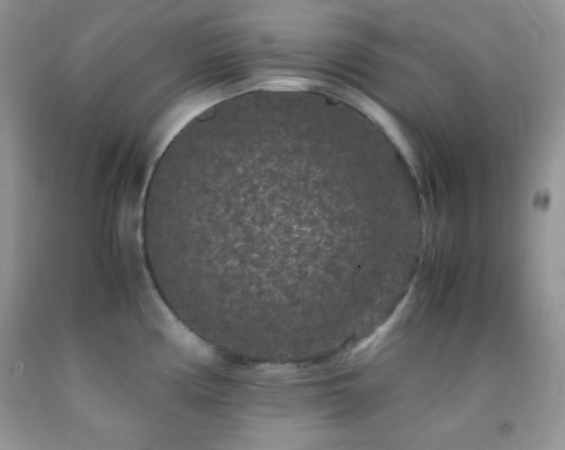 X0000092291194200709141253