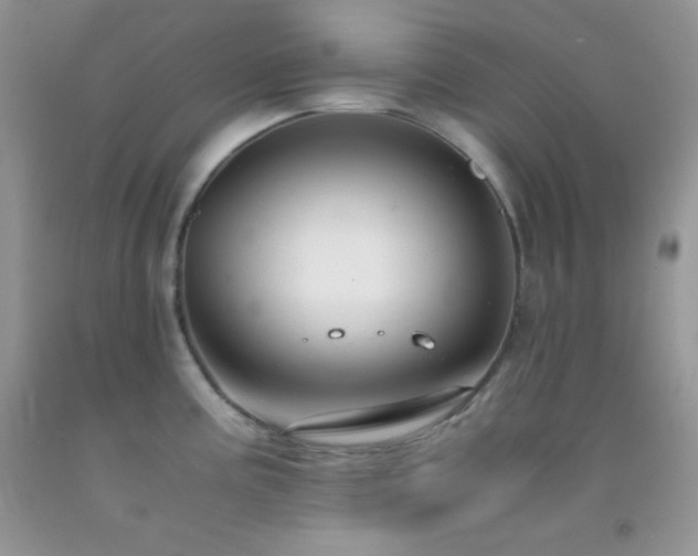 X0000092291195200709141253