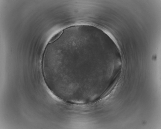 X0000092291197200709141253