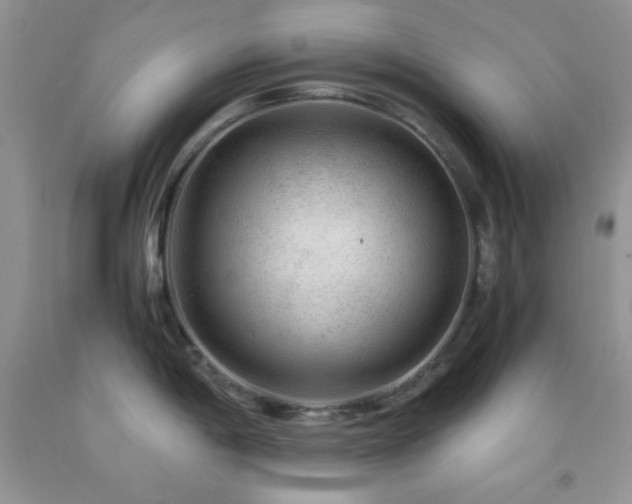 X0000092291198200709141253