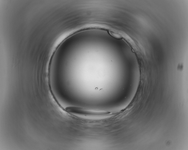 X0000092291199200709141253