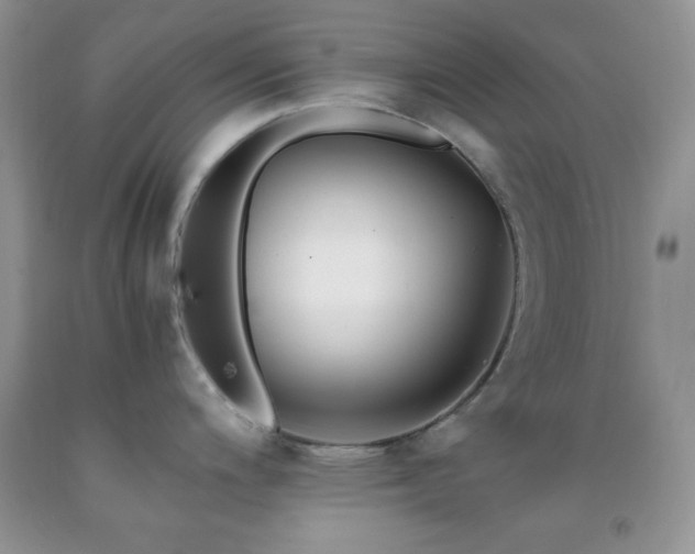 X0000092291200200709141253