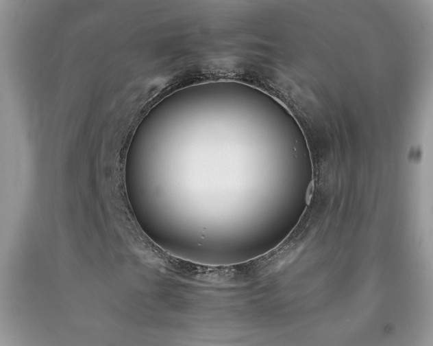 X0000092291201200709141253