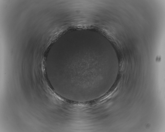 X0000092291202200709141253