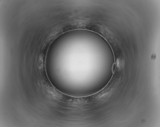 X0000092291203200709141253